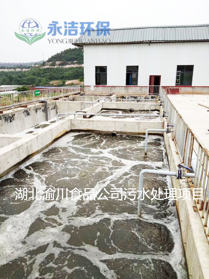 湖北渝川泡菜废水云博官方网站